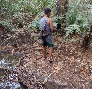 Divulgação de Defesa de Tese – Gabriel Sanchez – Dia 17/12, às 09h00