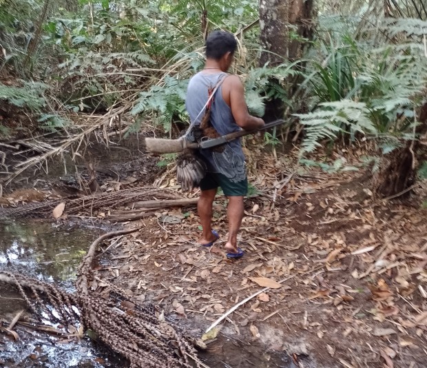 Divulgação de Defesa de Tese – Gabriel Sanchez – Dia 17/12, às 09h00